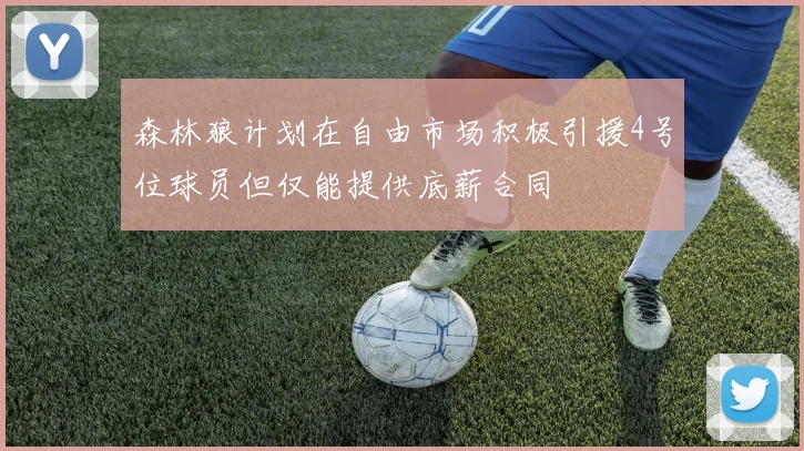 森林狼计划在自由市场积极引援4号位球员但仅能提供底薪合同